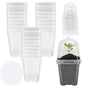 EBaokuup 30PCS Clear Plant Nursery Pots with Humidity Dome - 3" Durable Plastic Gardening Pot, Small Plant Container for Seedlings/Vegetables/Succulents/Cuttings - color: 30pcs-white, size: 3 Inch