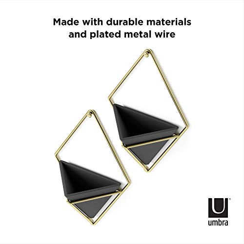 Umbra Trigg Hanging Planter for Small Plants, Set of 2, Small, Black/Brass - color: Black/Brass, size: Small