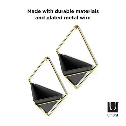 Umbra Trigg Hanging Planter for Small Plants, Set of 2, Small, Black/Brass - color: Black/Brass, size: Small
