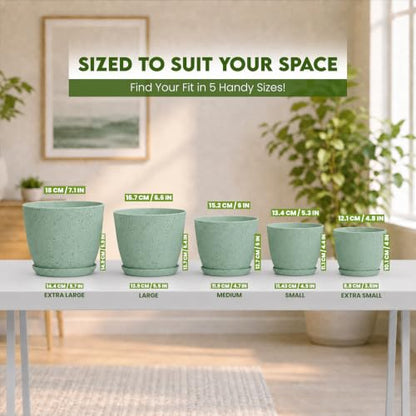 Plant Pots Indoor with Drainage 5 Pack Multi-Size Planters Set Spotty Mint - color: Speckled Mint, size: Pack of 5