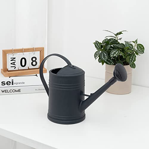 Plastic Indoor Watering Can with Sprinkler Head - 68 oz, 1/2 Gallon - color: Black
