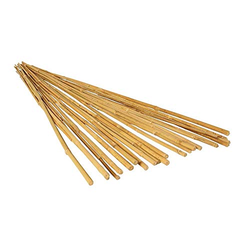 GROW!T Hydrofarm HGBB4 4' Natural, Pack of 25 Bamboo Stake, 4 Foot, Tan - size: 4 Foot(pack of 25), style: 4' Bamboo Stakes, pack of 25