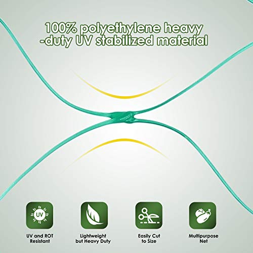 Ruolan Bird Netting for Garden Protect Vegetable Plants and Fruit Trees13X82Ft,Plastic Trellis Netting for Birds, Deer,Squirrels and Other Animals - size: 13X82