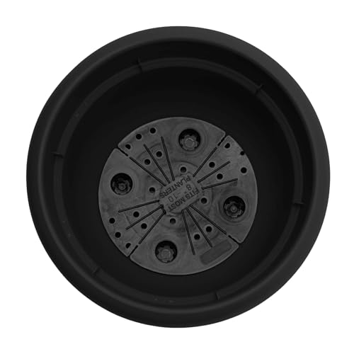 Bloem Ariana 8" Plastic Self-Watering Planter, Black, 4-Pack - color: Black, size: 8" (Pack of 4)