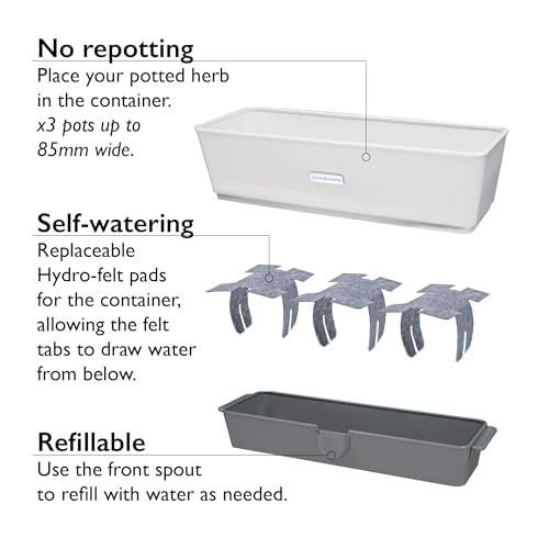 Cole & Mason Burwell Self-Watering Potted Herb Keeper - size: Triple Fresh Herb Keeper