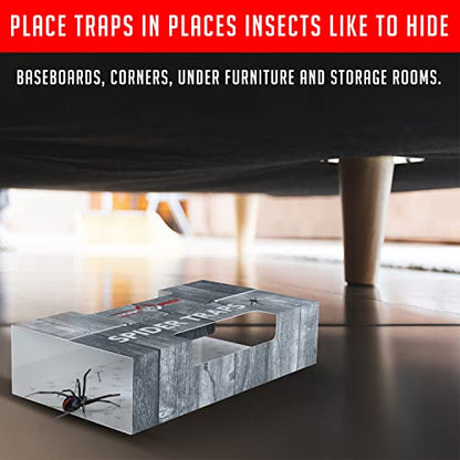 Trap a Pest Indoor Sticky Spider Traps - Glue Traps - 16 Pack - size: 16 Pack