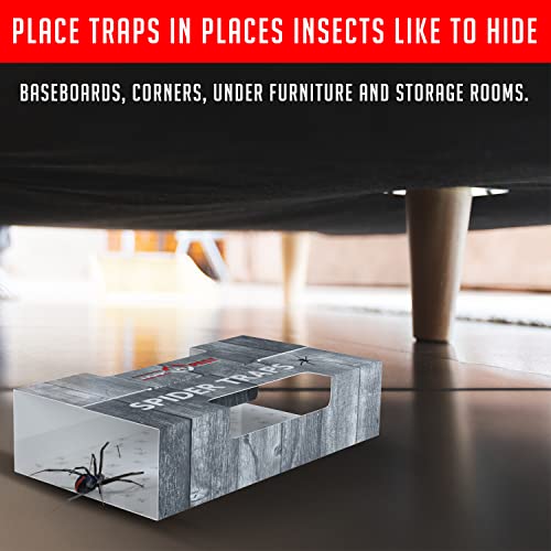 Trap a Pest Indoor Sticky Spider Traps - Glue Traps - 30 Pack - size: 30 Pack