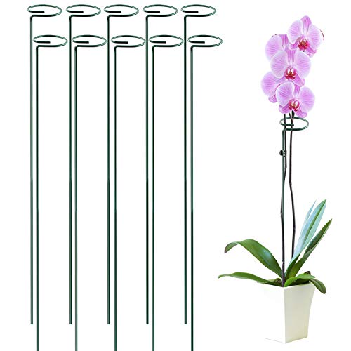 HiGift 10 Pack 36 Inch Plant Support Stake for Tall Plant, Garden Single Stem Flower Support Stake Indoor Plant Cage Support Ring for Peony, Orchid, Lily, Rose - size: 36 Inch-10 Pack