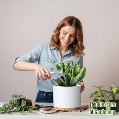 10/9/8 Inch Plant Pots 3 Pack, with Drainage Hole & Saucers - color: Matte White&brown