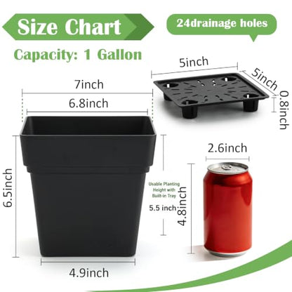 6-Pack 7 Inch Square Planters with Built-in Drainage Tray & Bottom Plug - color: Black