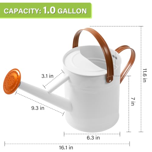 1 Gallon Watering Can for Outdoor&Indoor Plants，White - color: White