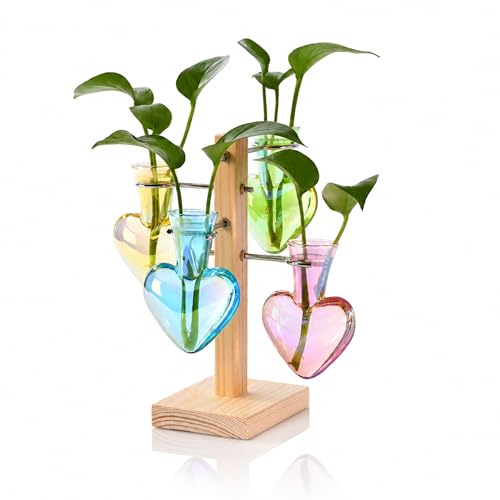 Nacome Plant Terrarium Propagation Stations: Colored Vase with Wooden Stand - color: Colored