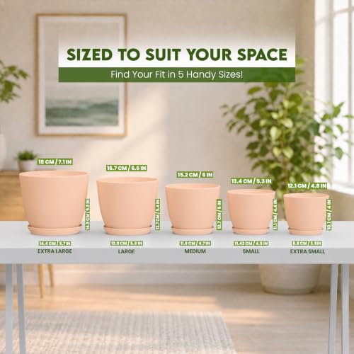 Plant Pots Indoor with Drainage, 5 Pack Multi-Size Planters Set, Pink - color: Peach Pink, size: Pack of 5