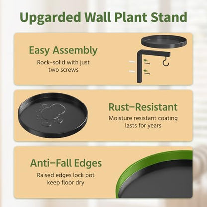 LASZOLA Plant Hanger Holder Shelf Wall Indoor with Lights, 2 Pcs Black - color: Black, size: 2