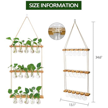 XXXFLOWER Wall Hanging Propagation Station 5 Bulb Vase 3 Tiers - size: Natural-15 Bulb Vase