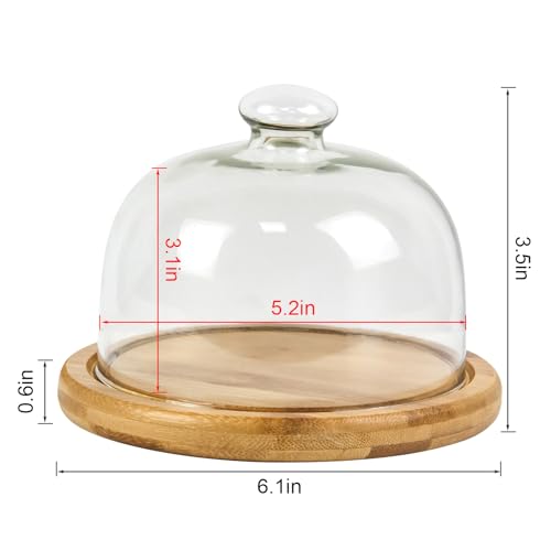 4.9''Glass Dessert Dome with Base, 6.3" Mini Decorative Cake Tray