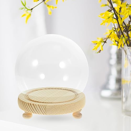 HOMSFOU Glass Dome Display Case 4.72 Inch Clear Spherical Cloche with Base for Diy Micro Landscape Preserved Flower Display and Home Decor