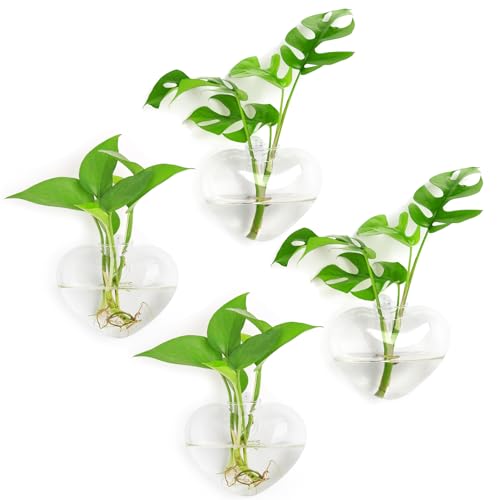 XXXFLOWER Wall Hanging Glass Terrariums, Heart-Shaped Set of 4 - size: 4 Love Wall Hanging