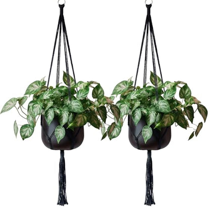 EBOOT 2 Pack 48 Inch Macrame Plant Hanger, Black, 4 Legs - color: Black, size: 48 Inch