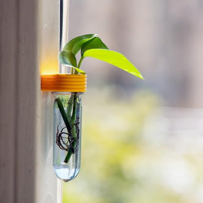 Propagation Station Wall Hanging Terrarium Upcycled 3D Printed Eco Friendly Unique Plant Lover Gift (Mango) - color: Mango