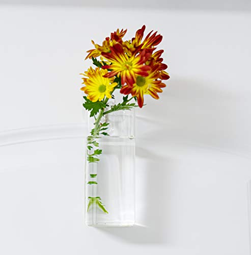 Square Glass Propagation Vase 2 Pack, Wall Hanging Hydroponic Planter - color: Square Tube