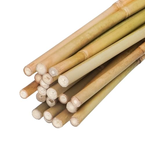Natural Bamboo Plant Stake（Approx 5FT 30Pcs） Sturdy Bamboo Poles, Durable Plant Bamboo Stake, Garden Climbing Plant Bracket. - size: 4.8ft-30PCS