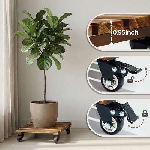 Bamworld Plant Caddy 14 Inch Heavy Duty Wood Dolly 2 Pack - size: 14inch-Square-2 pack