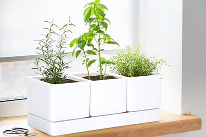 D'vine Dev Plastic Herb Garden Planter Set, White, 76-V-A-1 - color: White, size: 12"