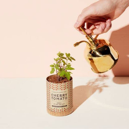 Modern Sprout Plant Mister - 8 oz Indoor Watering Can & Sprayer - Brass - color: Gold