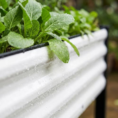 SnugNiture Raised Garden Bed with Legs, 48×18×32in, 2 Pack, White - color: White, size: 48×18×32in(2PCS)