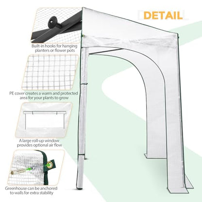 EAGLE PEAK 9x4 Easy Setup Pop Up Greenhouse, Lean-to Design, Clear/White - color: Clear/White, size: 9x4