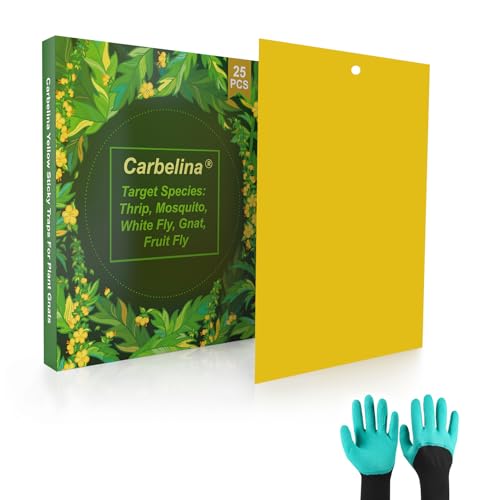 Plant Bug Sticky Traps Indoor/Outdoor -25 PCS + Gloves for Women - color: Color B-25PCS