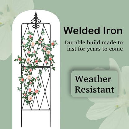62"x15" Metal Garden Trellis, Black, Durable Powder-Coated, 2 Pack