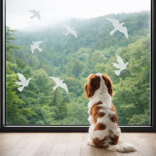Anti Collision Window Bird Stickers Decals Glass Door Protect and Save Bird Strikes (Transparent 36 Pcs) - color: Transparent-36 Pcs