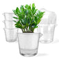 5 Pack Clear Self Watering Pots for Indoor Plants, 5/7 Inch Pots, 2 Size