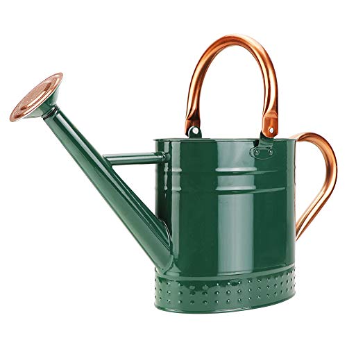 1 Gallon Metal Watering Can with Removable Spout, Nice Galvanized Steel Water Can with Embossed Design for Indoor and Outdoor Plants - color: Green