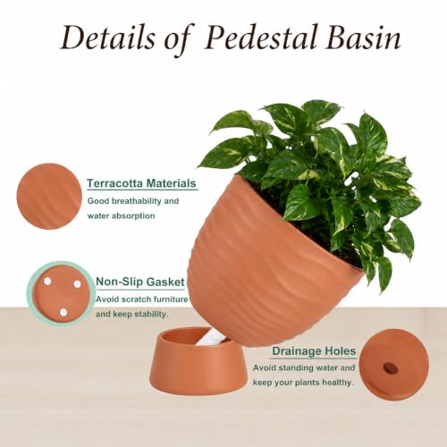 vensovo Terracotta Self Watering Plant Pots, 6 and 8 Inch with Saucers - color: Terracotta