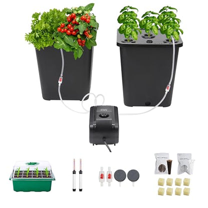 DWC 2 Hydroponic Buckets Kit for Plants, Hydroponics Growing System for Herbs/Tomato/Vegetables, DWC System with Air Pump & Germination Tray (Complete Indoor Hydroponic Gardening Supplies) (Black) - size: 2 Bucket Kit (Black)