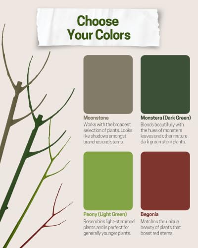 Twigs GA Mini Plant Support Stakes, Monstera Dark Green, 10-Pack, 12" L - color: Monstera (Dark Green)