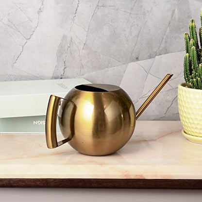 IMEEA Watering Can for Indoor Plants 45oz/1.3L Stainless Steel Small Indoor Watering Can House Plants - color: 45oz