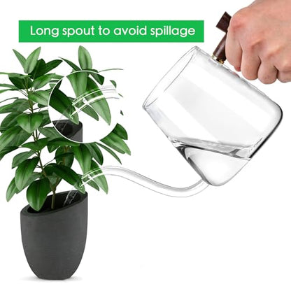 Watering Can Indoor Plants, 27 OZ Glass Watering Can, Long Curved Spout