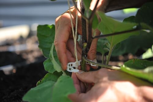 Compostable Trellis Clips (Compostable, 100, Units) - style: Compostable - 100 count