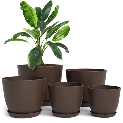 Plant Pots Indoor with Drainage, 5 Pack Multi-Size Planters Set, Brown - color: Brown, size: Pack of 5