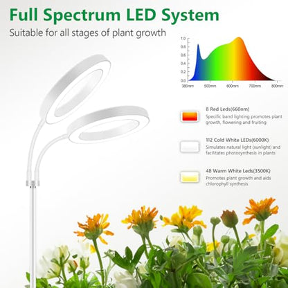 Aumtrly Large Plant Grow Light Indoor, 2 Head Full Spectrum, with 68" Stand - size: 2 head 68inch/white