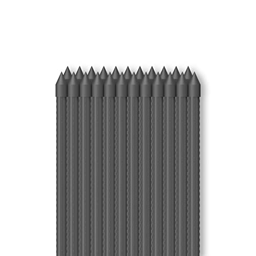 AC Infinity Garden Plant Stakes, Heavy-Duty Steel 48" - size: 48"