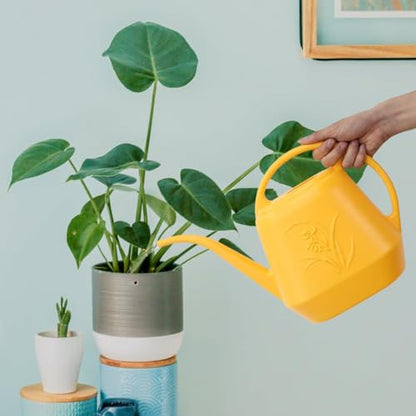 Watering Can - with Long Spout - 1 Gallon - Yellow - color: Yellow