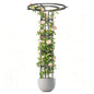 70.9 Inch Garden Trellis for Climbing Plants Outdoor, Mushroom Top Trellis - color: 5 Floors/Black