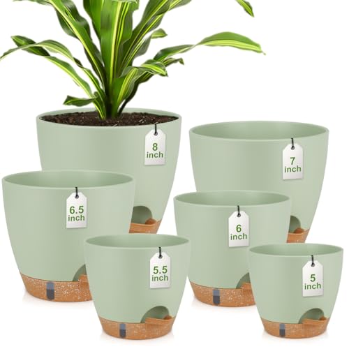 QRRICA 8/7/6.5/6/5.5/5 Inch Self Watering Pots for Indoor & Outdoor Plants - color: Green, size: 8/7/6.5/6/5.5/5 Inch