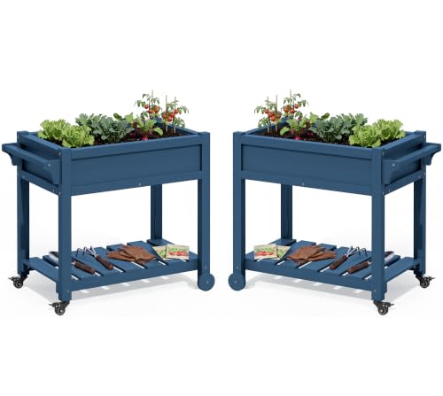 SERWALL Raised Garden Bed on Wheels with Storage Shelf Set of 2,Navy - color: Navy, size: 2 Pack