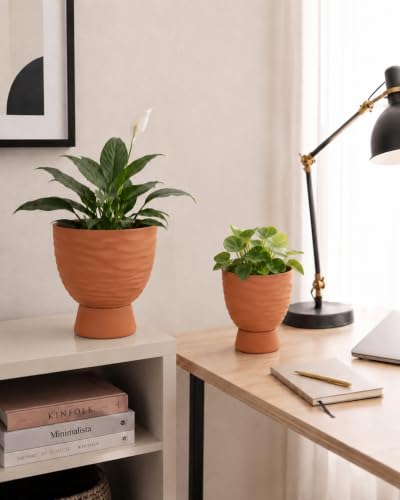 vensovo Terracotta Self Watering Plant Pots, 6 and 8 Inch with Saucers - color: Terracotta